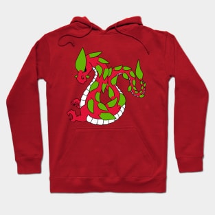 Dragonfruit - Anifroot Hoodie